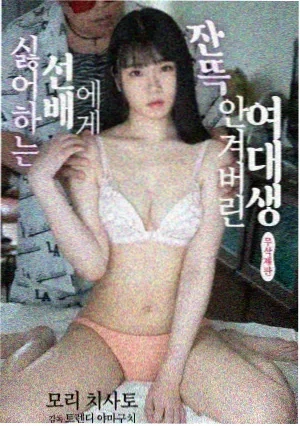 热播电视剧全集《归途列车》在线观看